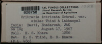 Image Associated With the Occurence